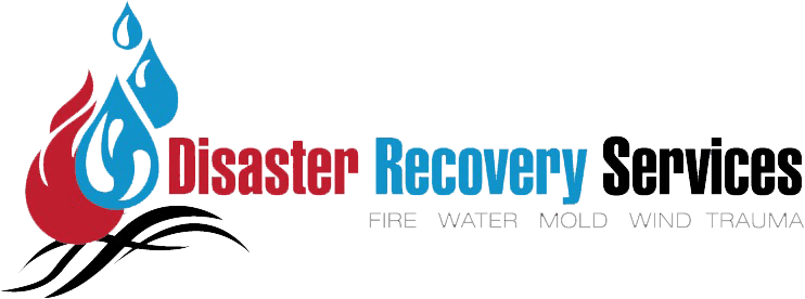 Disaster Recovery Services